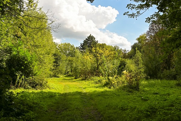 Medium property photo - John F. Kennedylaan 241, 2285 AH Rijswijk